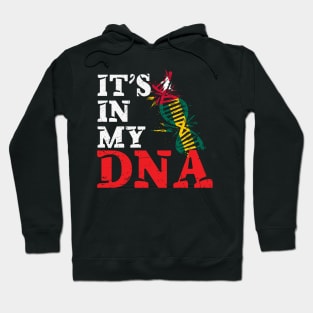 It's in my DNA - Togo Hoodie